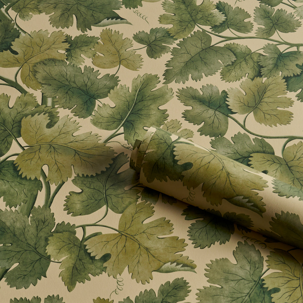 EDINBURGH VINE | Forest