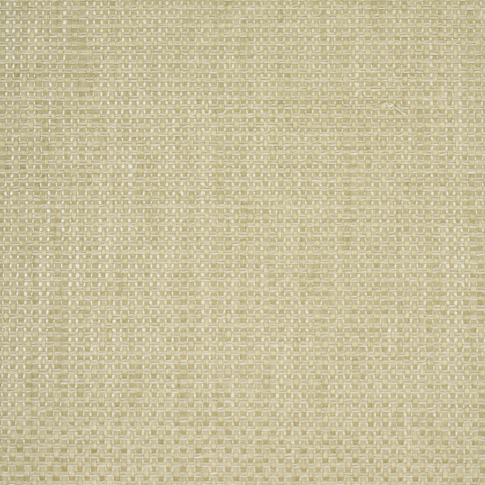 GAMI PAPERWEAVE | Moss