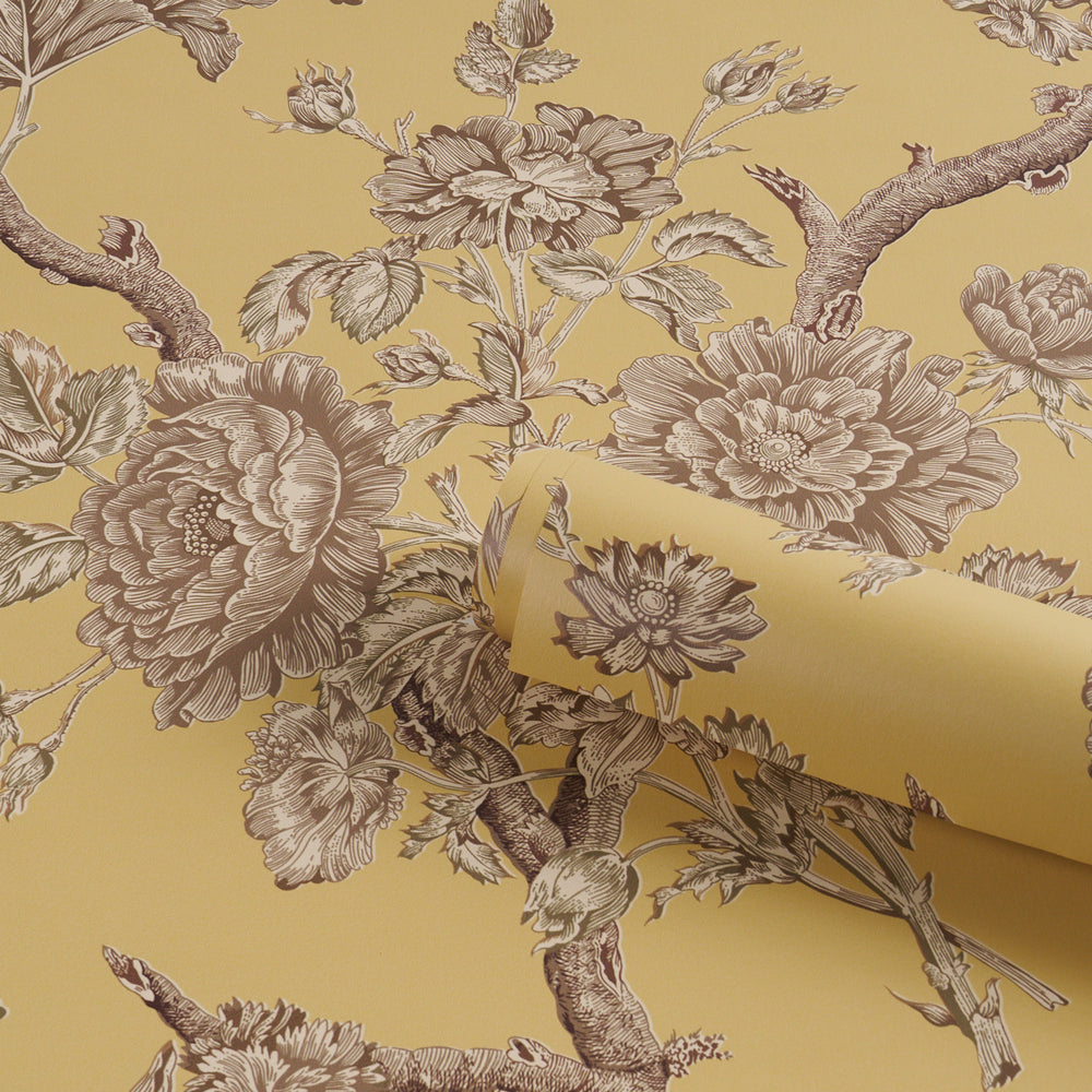 INVERNESS GARDEN | Buttercup