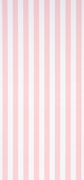 LOUISE STRIPE | Rose