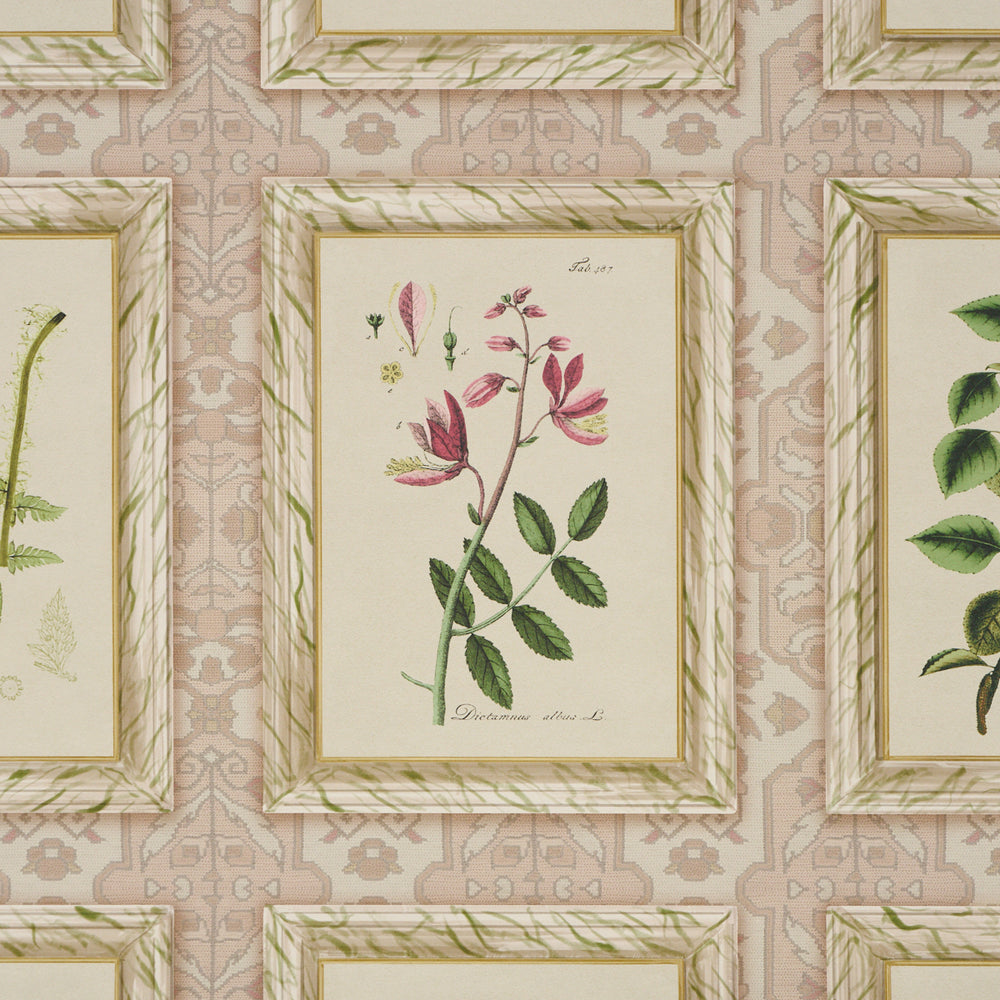 Garden's Trust | Blushed Oyster