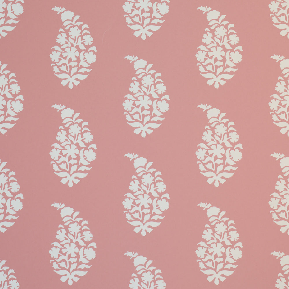 KAIA PAISLEY | Pink