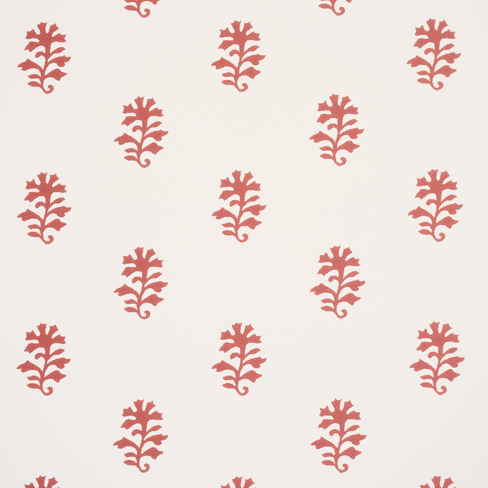 IKSHA | Cranberry