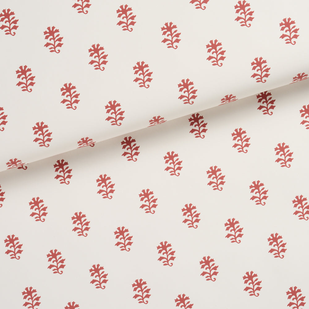 IKSHA | Cranberry