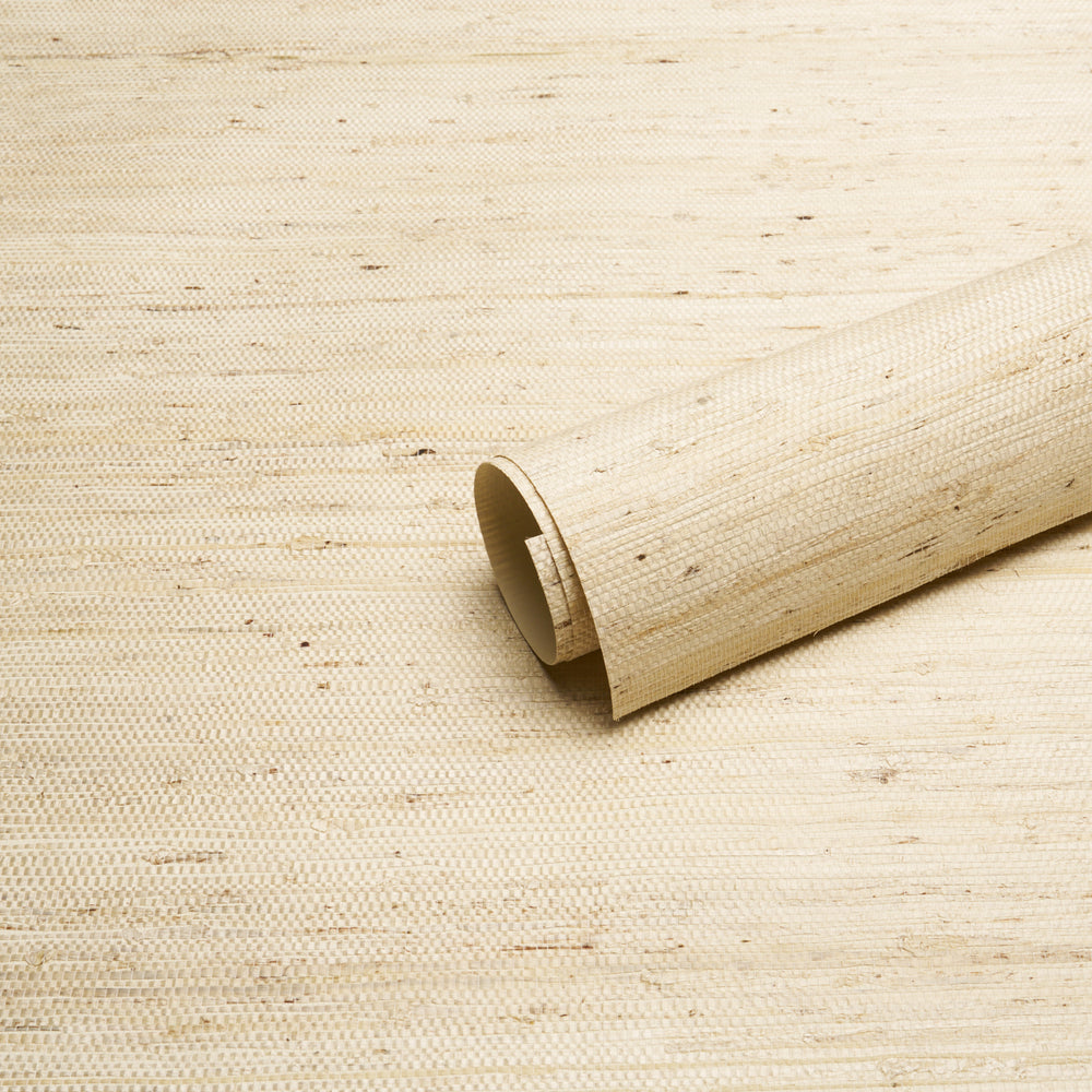 HAN ARROWROOT | Pearl
