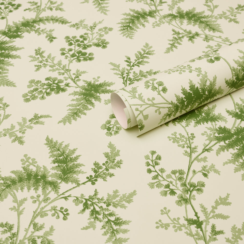MAIDENHAIR | Moss