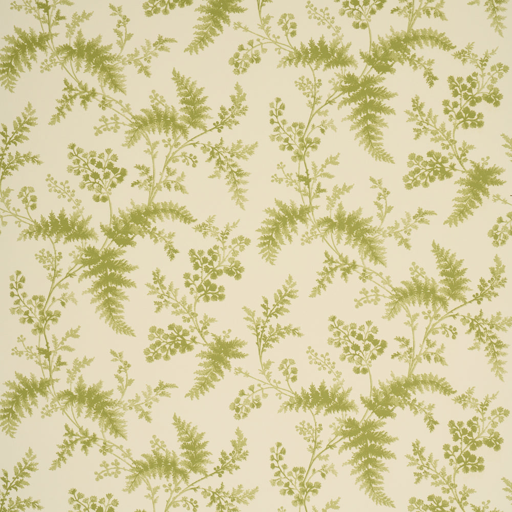 MAIDENHAIR | Leaf