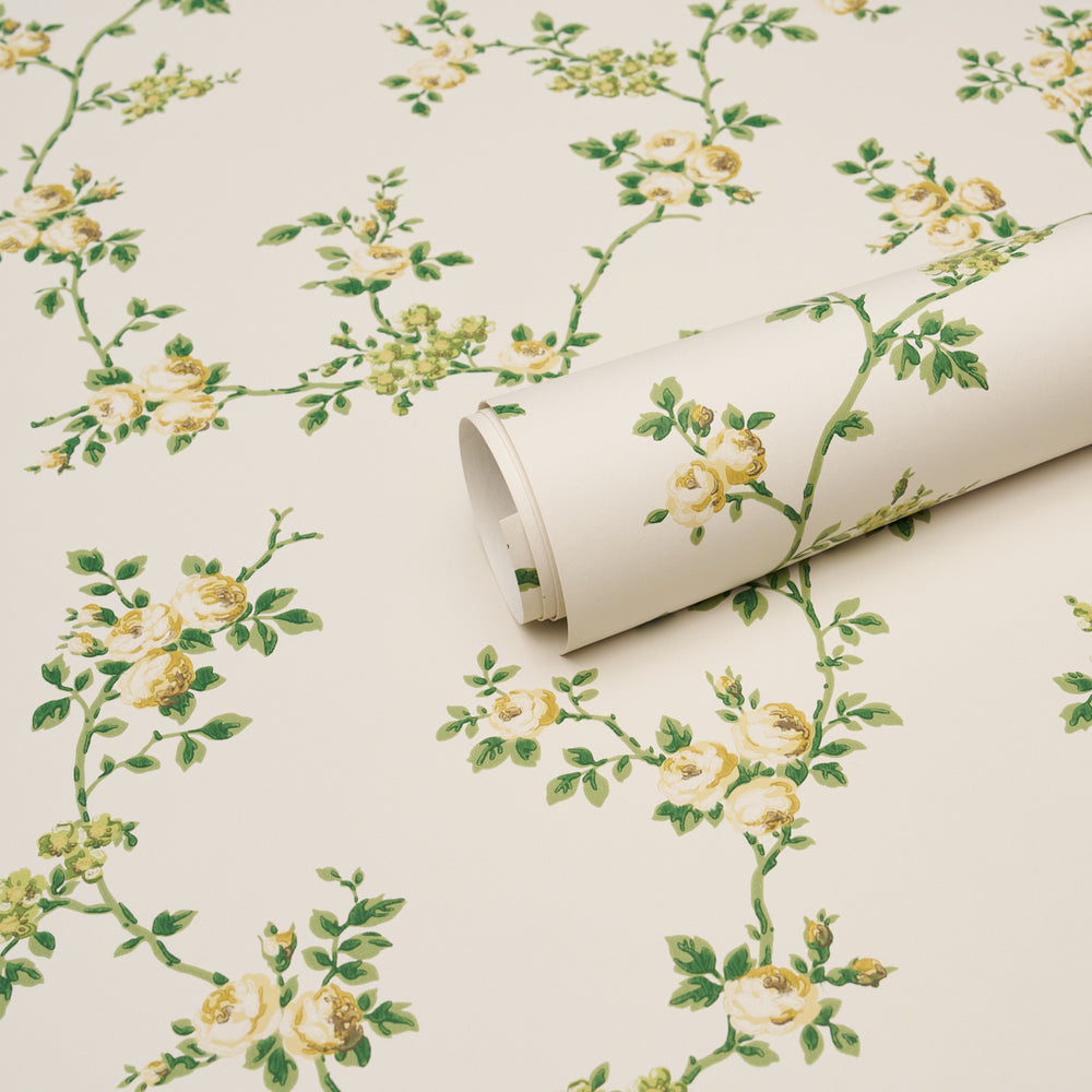 A ROSE IS A ROSE IS A ROSE | Citron