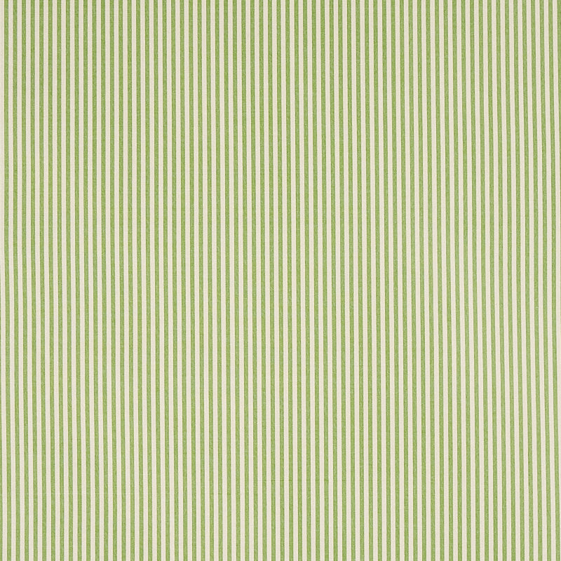 CHAREE SILK STRIPE | Green