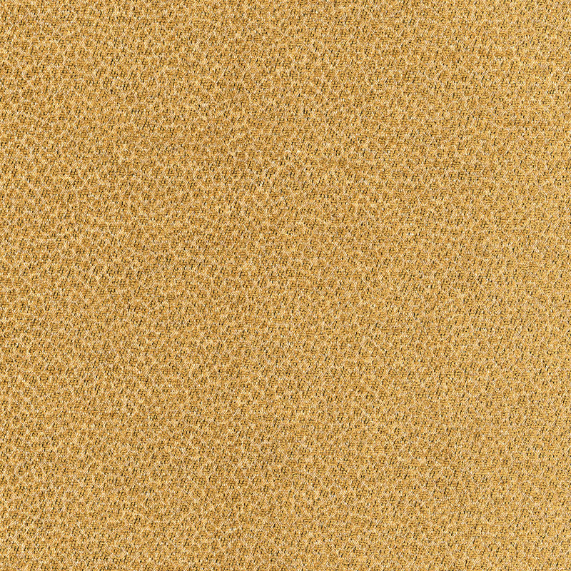 KENYA TEXTURE | Camel