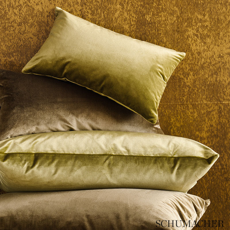 VENETIAN SILK VELVET | Champagne