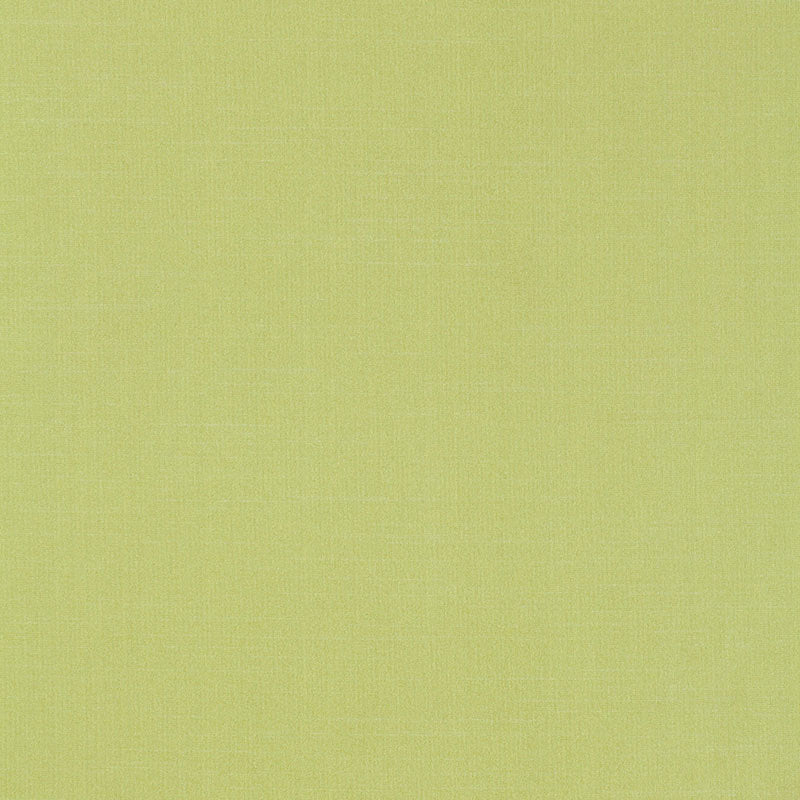 TIEPOLO SHANTUNG WEAVE | Limeade