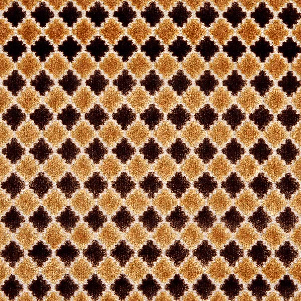 MARRAKESH VELVET | Chocolate Brown