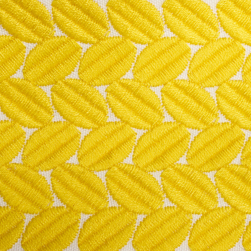 BERKELEY TAPE WIDE | YELLOW