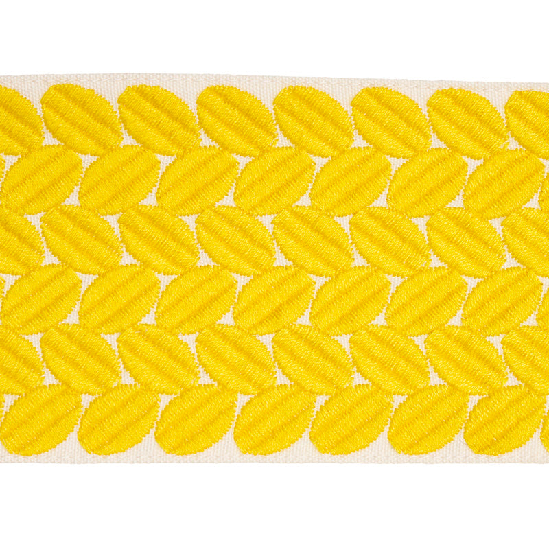 BERKELEY TAPE WIDE | Yellow