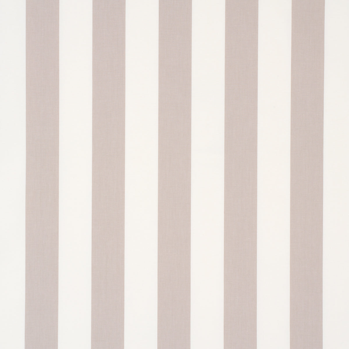 ANDY STRIPE | Taupe