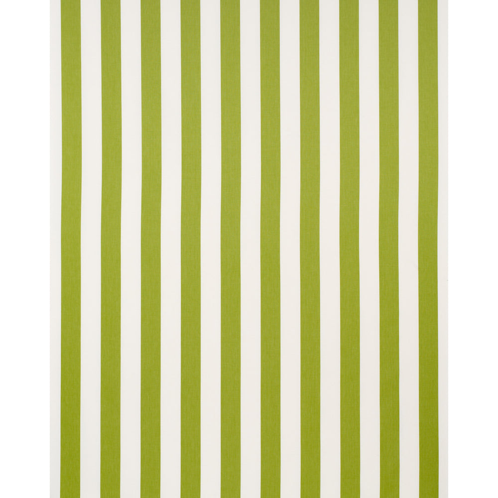 ANDY STRIPE | Green