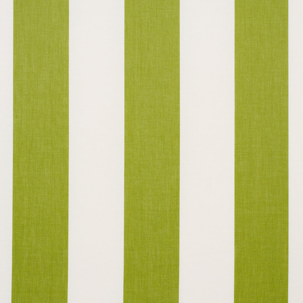 ANDY STRIPE | Green