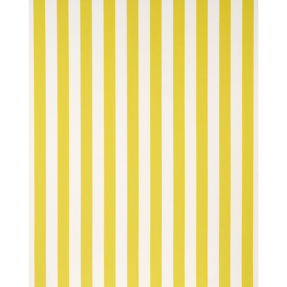 ANDY STRIPE | Yellow