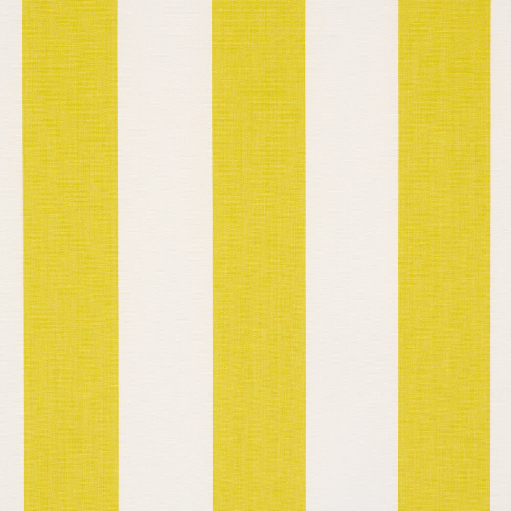 ANDY STRIPE | Yellow