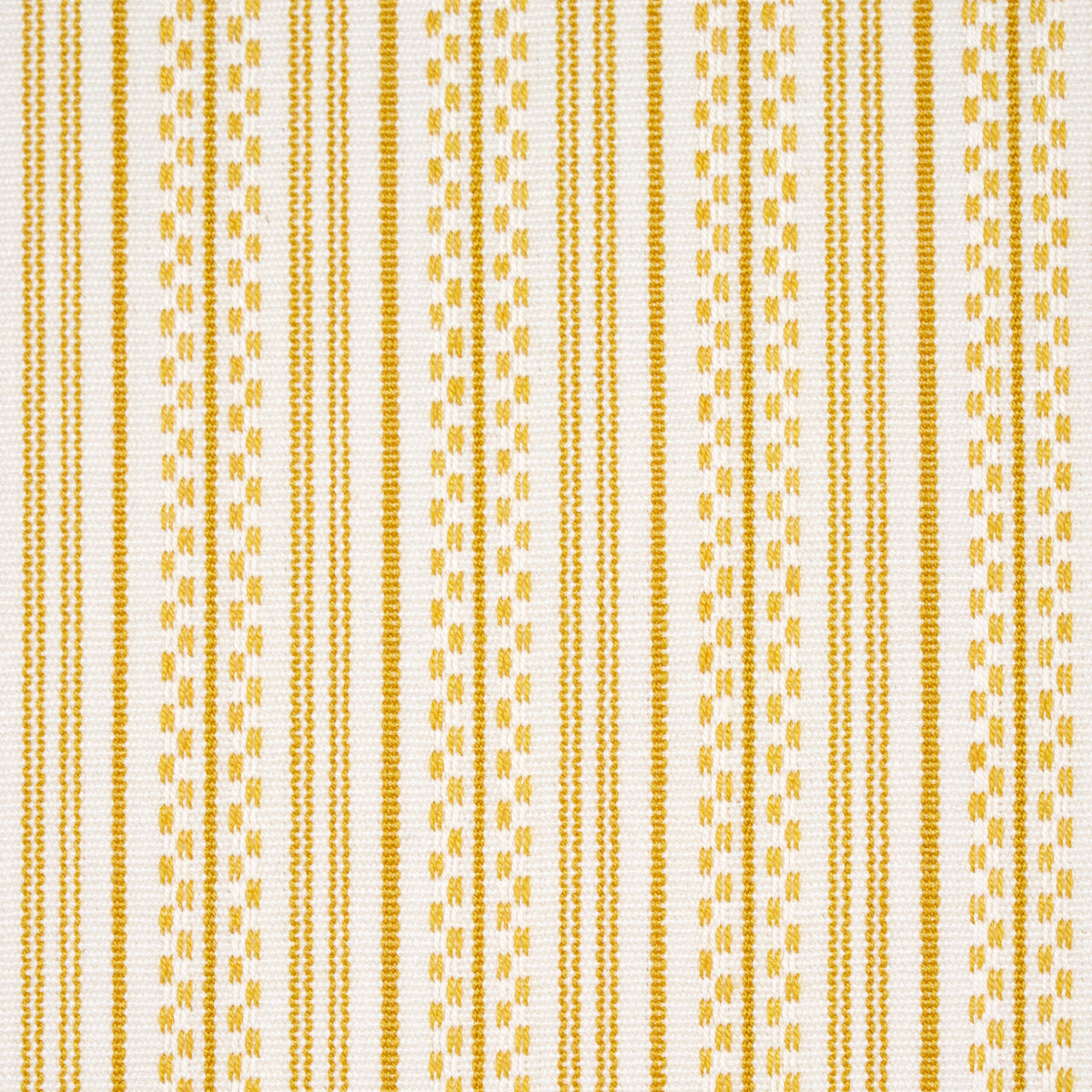 JACK STRIPE | Yellow