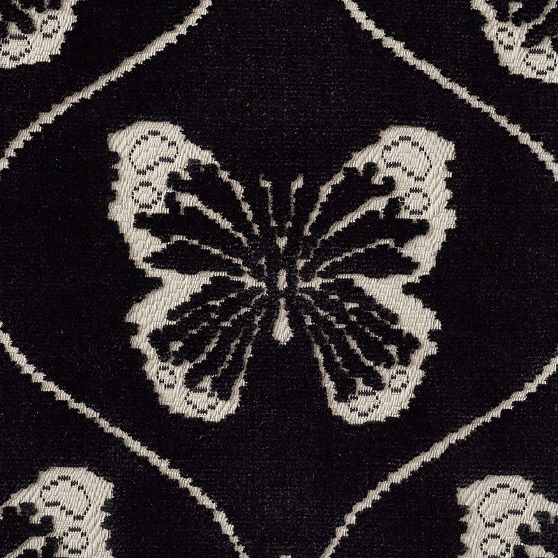 PAPILLON VELVET | Onyx