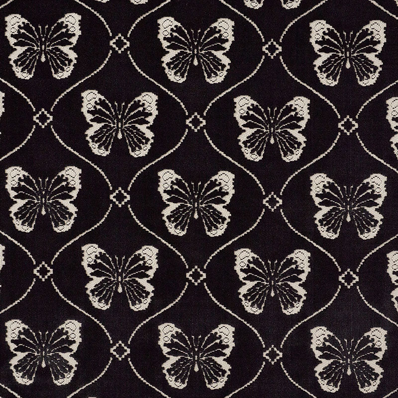 PAPILLON VELVET | Onyx