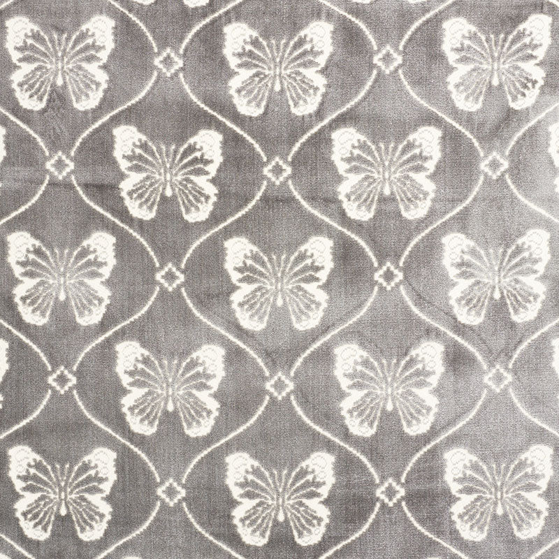 PAPILLON VELVET | Pewter