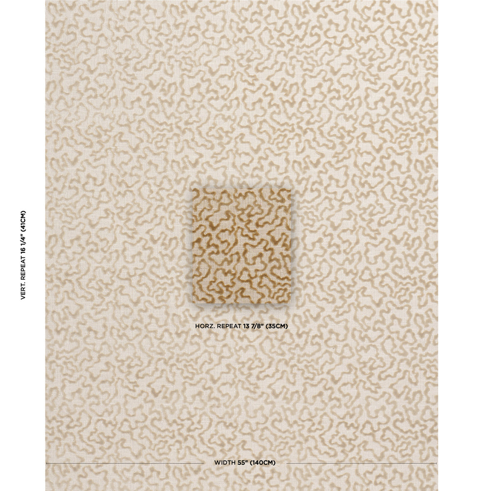 JANIS VELVET | Champagne