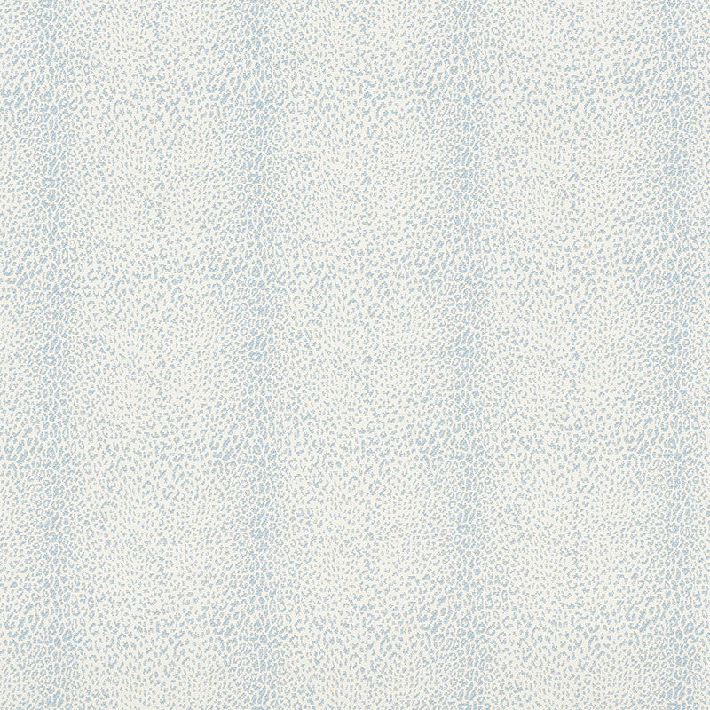 MINI LEOPARD OUTDOOR | Sky