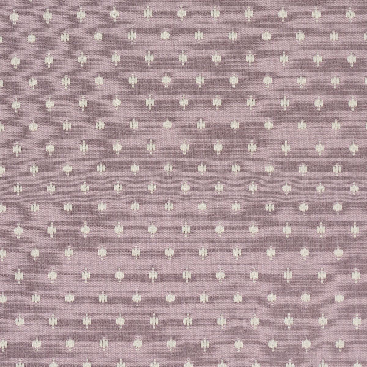 BARLOW | French Lilac