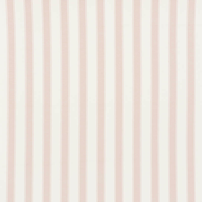 RAFE STRIPE | Quiet Pink