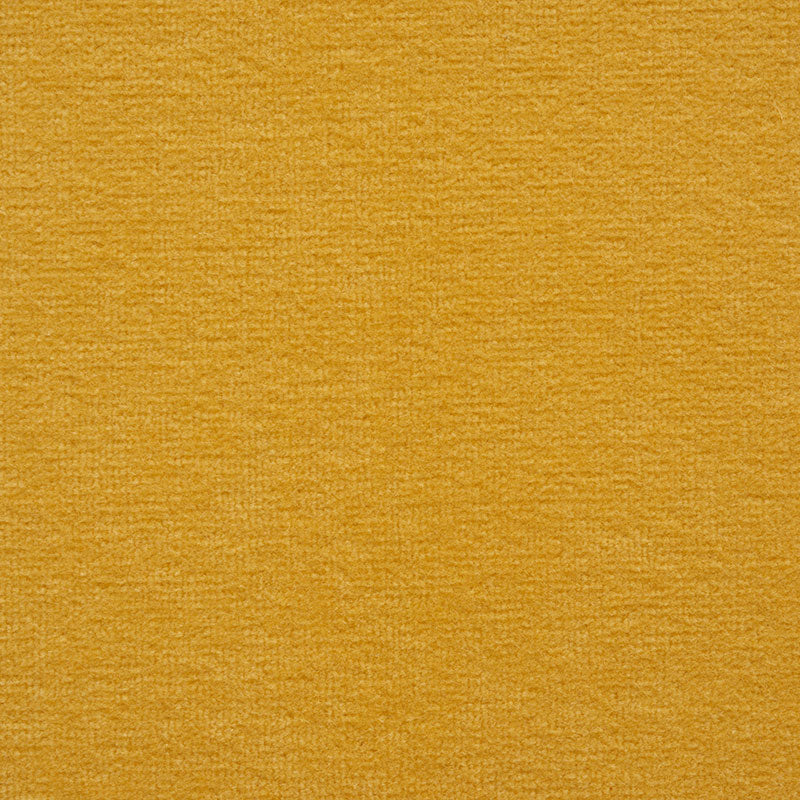 Rocky Performance Velvet | Gold