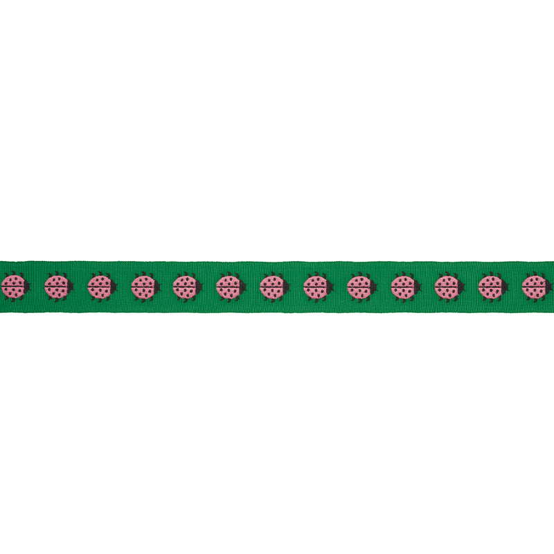 LADYBIRD TAPE | PINK & GREEN