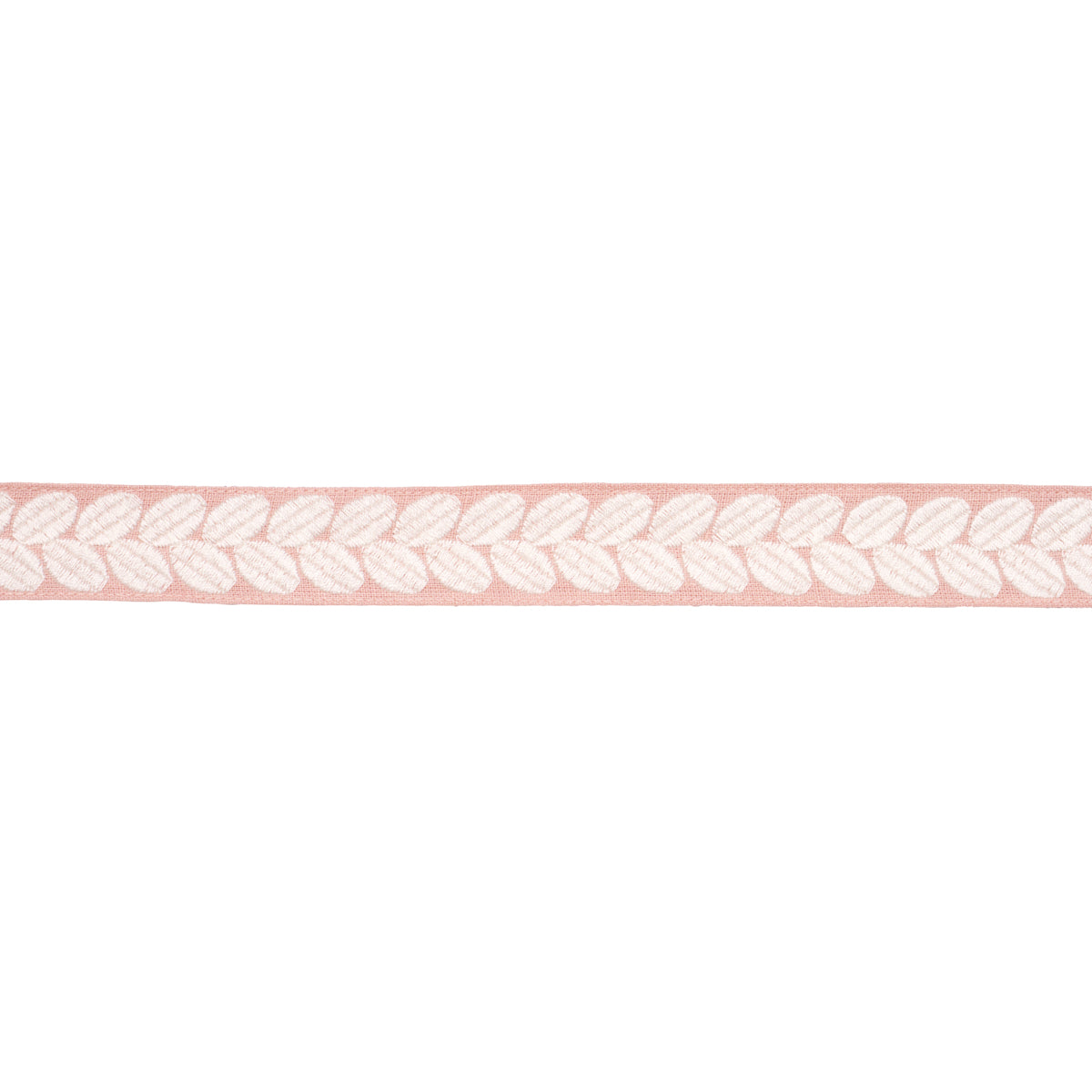 BERKELEY TAPE NARROW | Blush