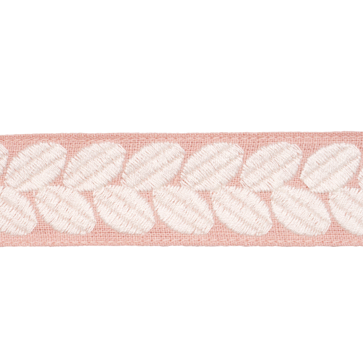 BERKELEY TAPE NARROW | Blush