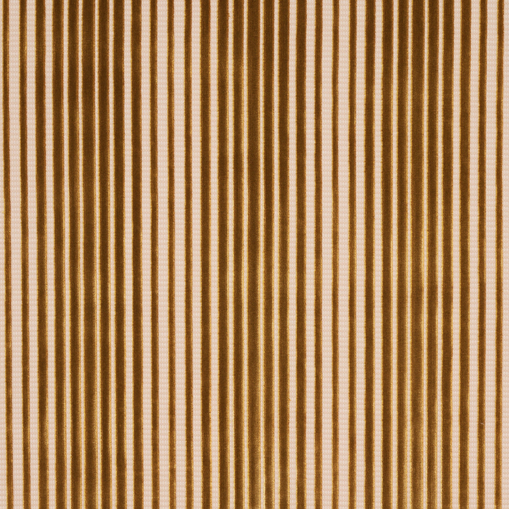 CHIMAY STRIPE VELVET | Bronze