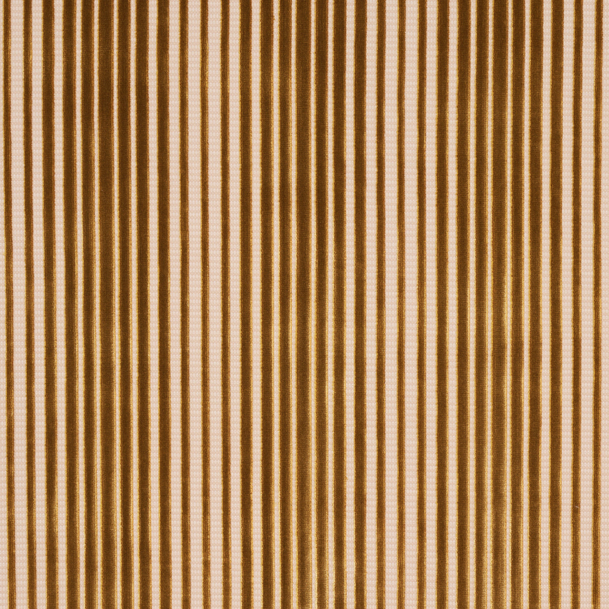 CHIMAY STRIPE VELVET | Bronze