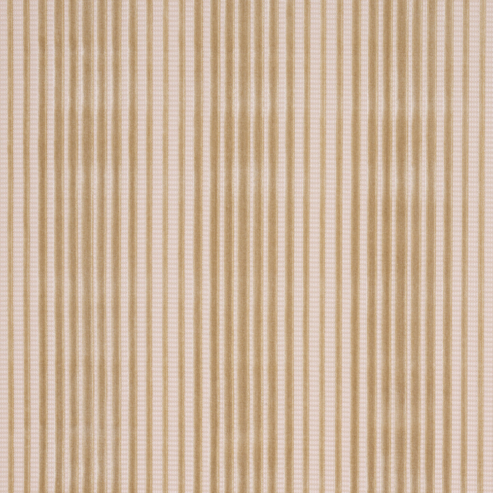 CHIMAY STRIPE VELVET | Champagne