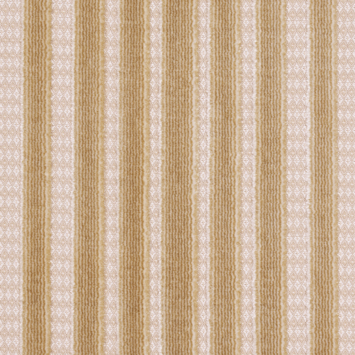 CHIMAY STRIPE VELVET | Champagne