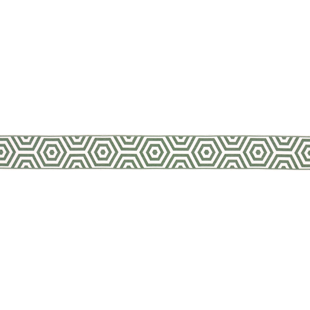 BEES KNEES INDOOR/OUTDOOR TAPE | Green