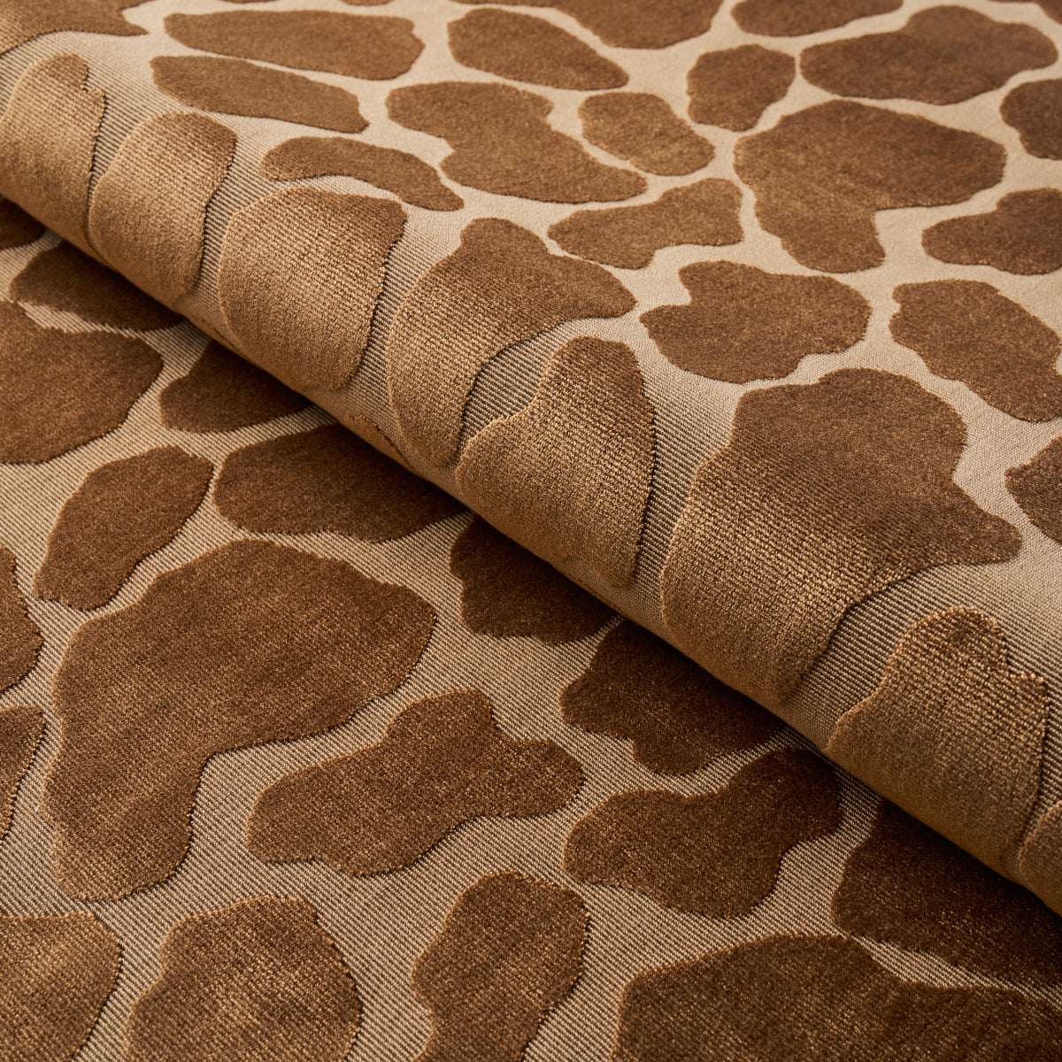 GIRAFFE VELVET | Safari