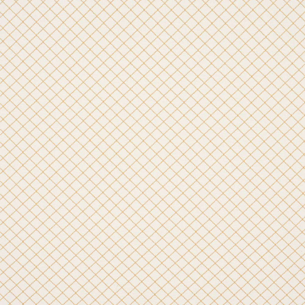 MAGGIE LATTICE | Neutral