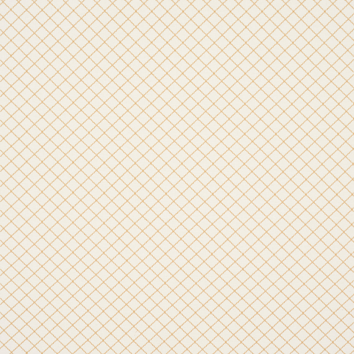 MAGGIE LATTICE | Neutral