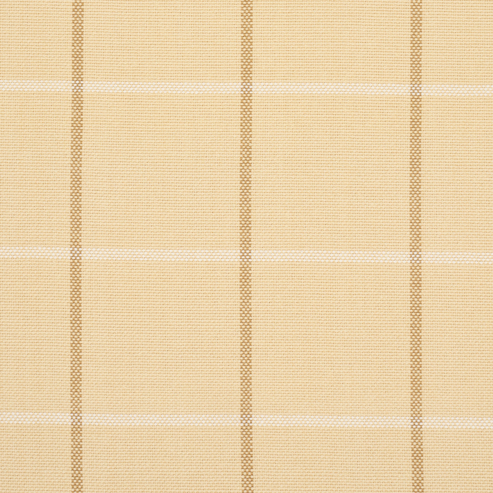 FRANNIE WINDOWPANE | Camel