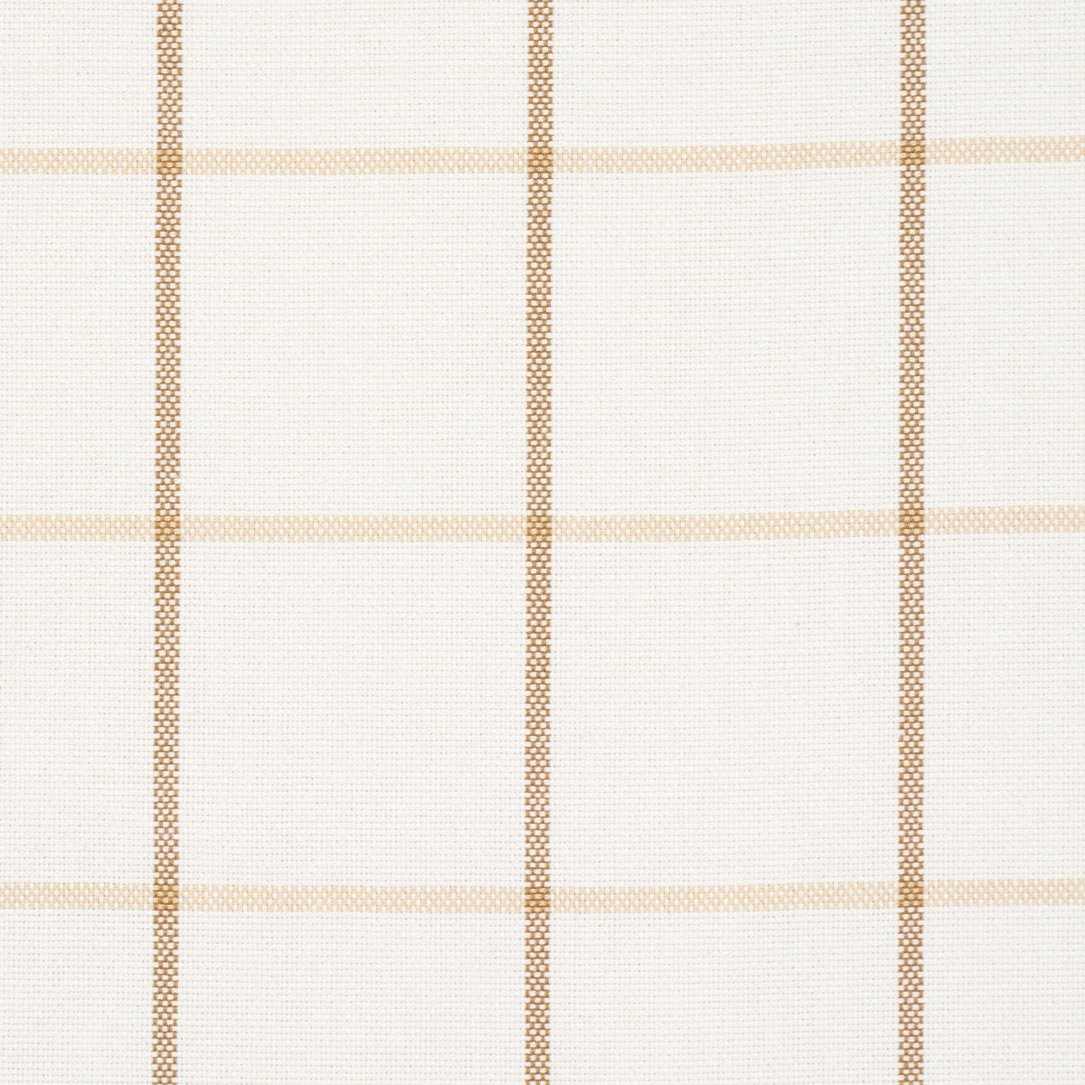 FRANNIE WINDOWPANE | Neutral