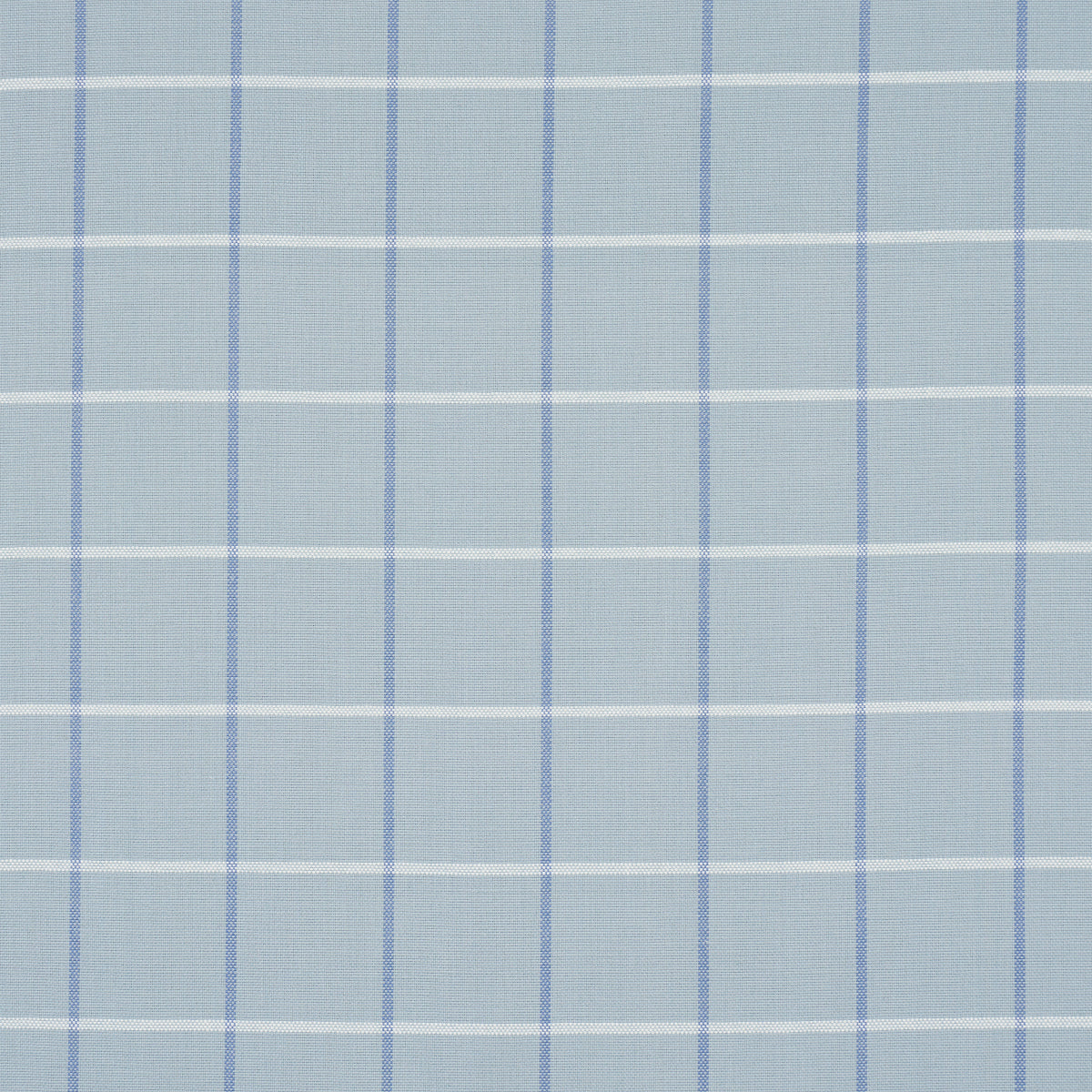 FRANNIE WINDOWPANE | China Blue