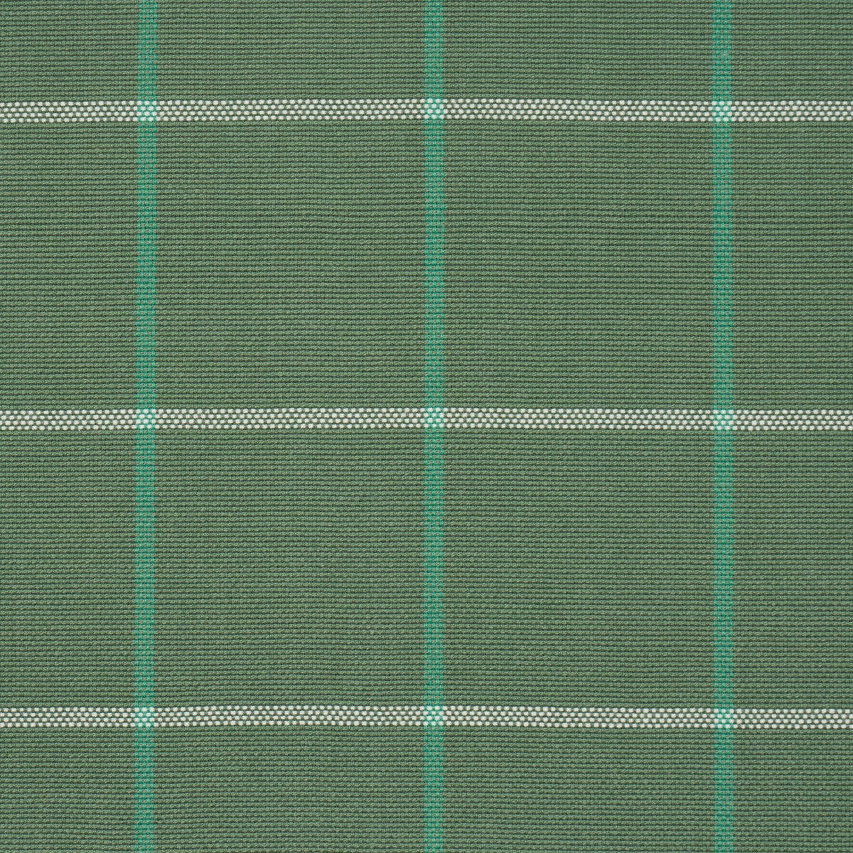 FRANNIE WINDOWPANE | Green