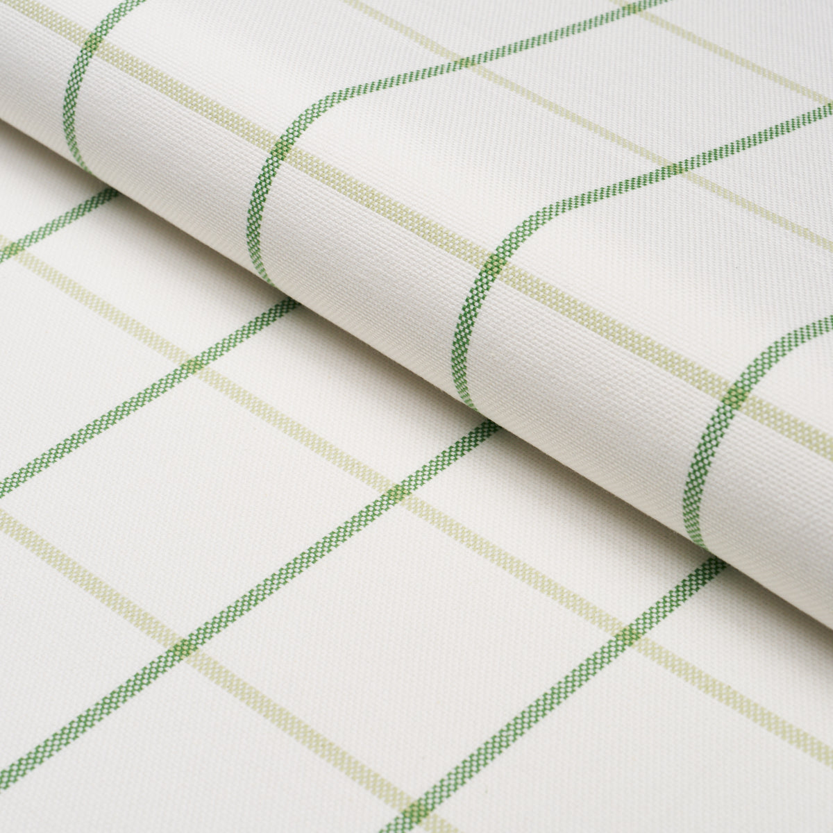 FRANNIE WINDOWPANE | Leaf Green