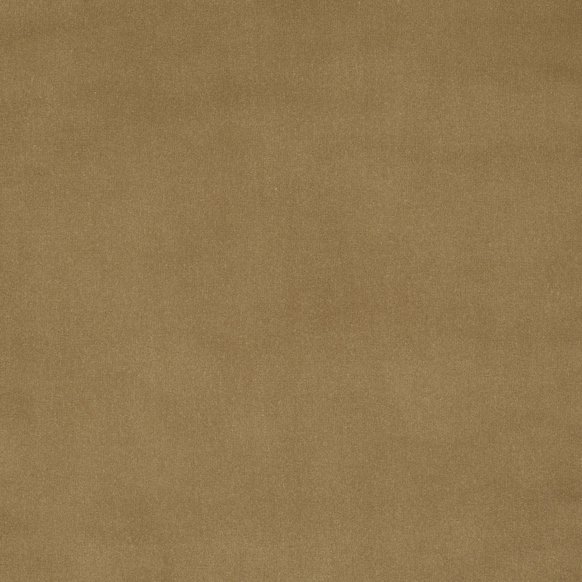 ALISTAIR INDOOR/OUTDOOR VELVET | SAND